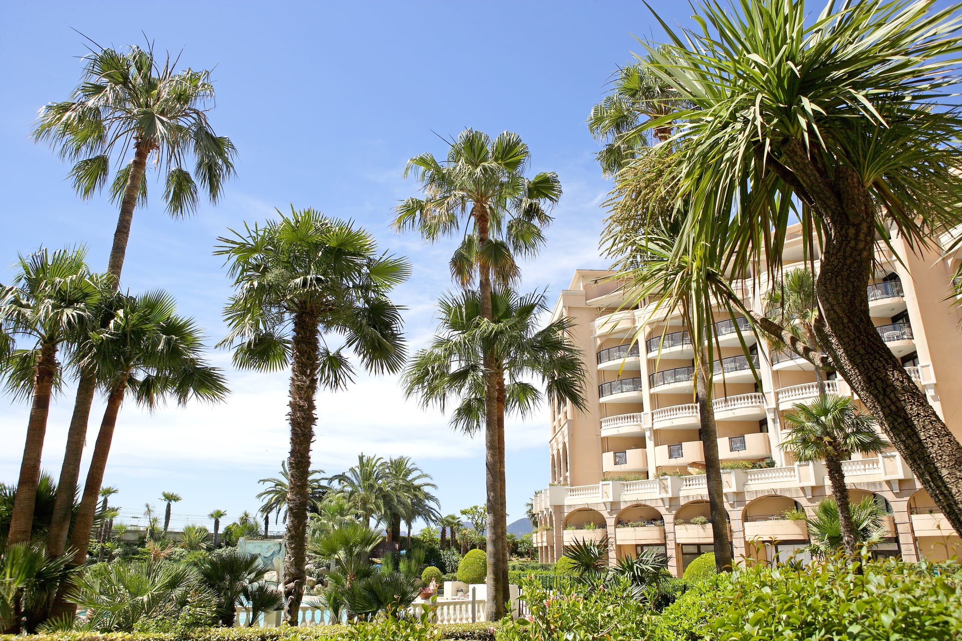 Jardins de palmiers et façade de la Résidence La Palme d'Azur Cannes Verrerie