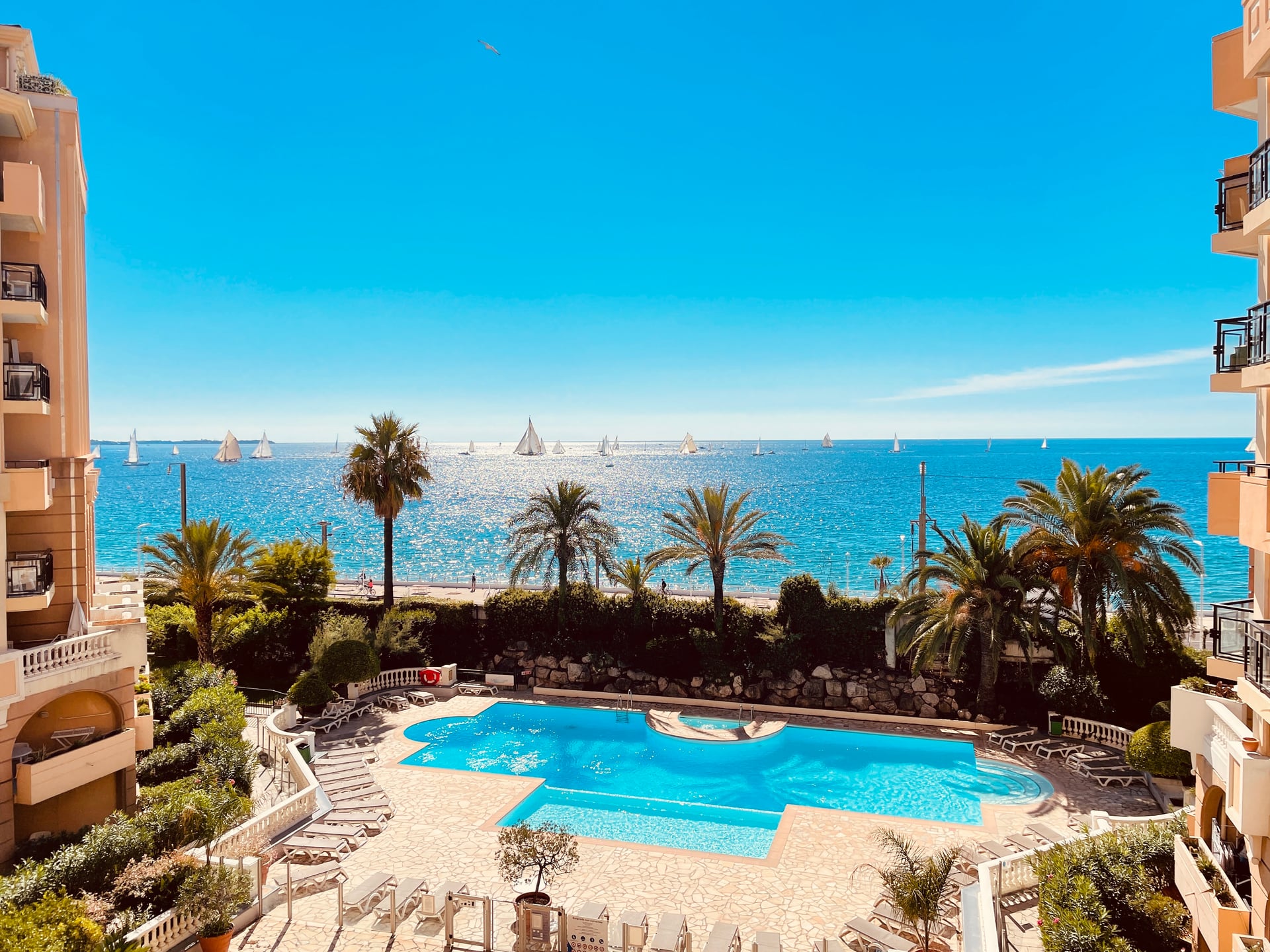 Piscine vue mer et voiliers — Résidence La Palme d'Azur Cannes Verrerie